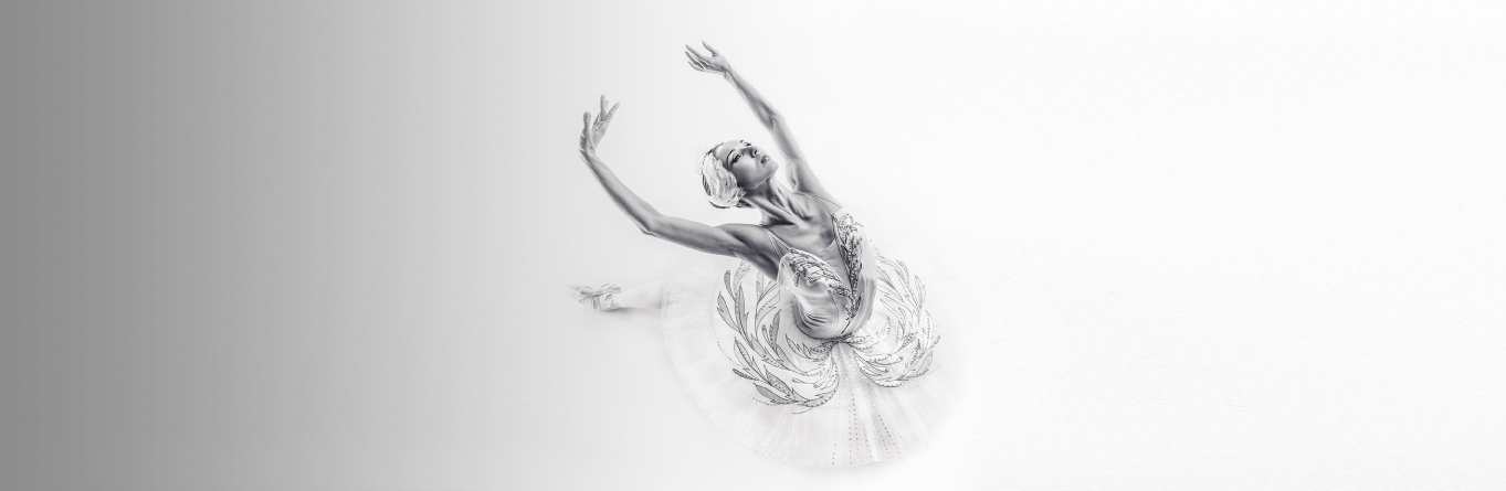 Лебединое озеро